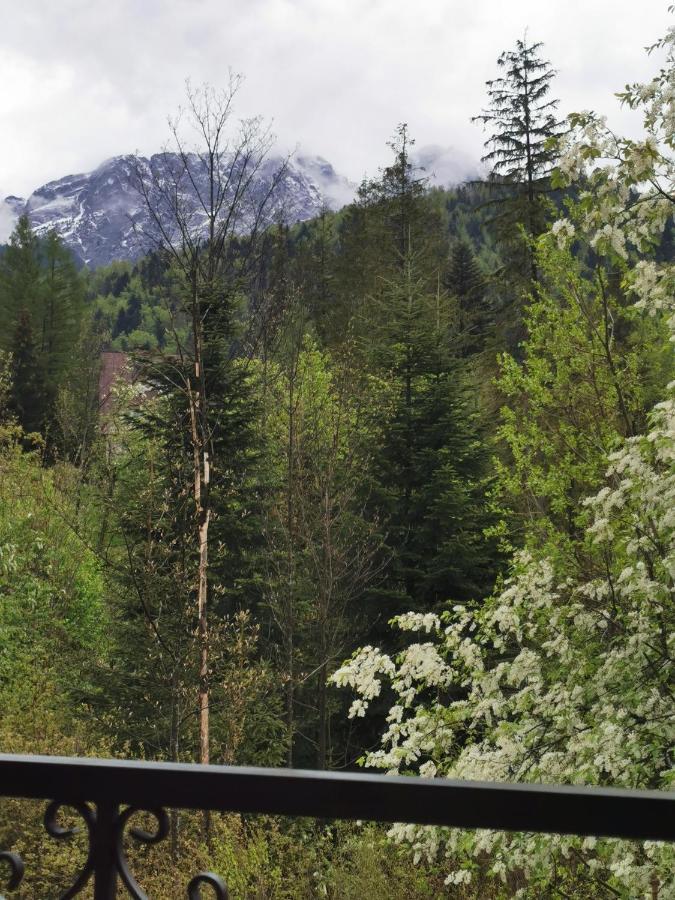 Apartmán Ski-bowki Zakopane